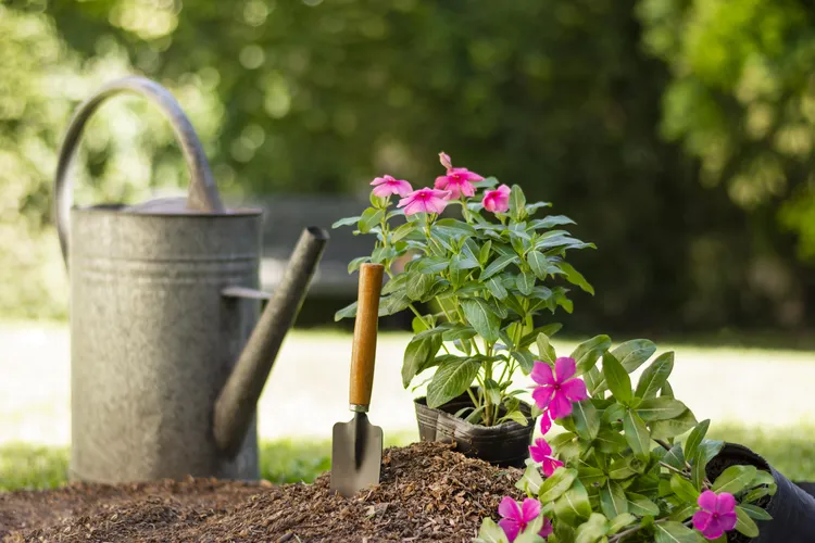 Jardinería y acondicionamiento exterior de vivienda